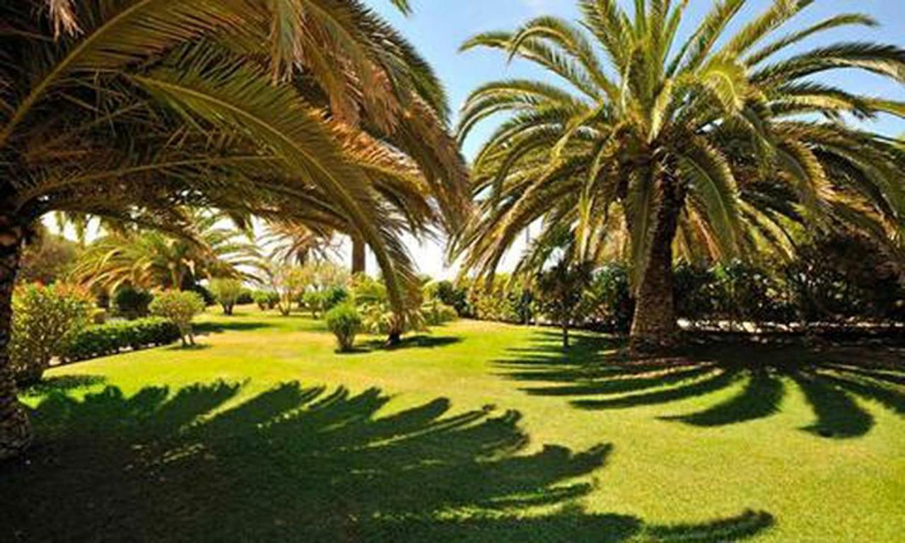 Torralta Alvor Beach 601 Zewnętrze zdjęcie